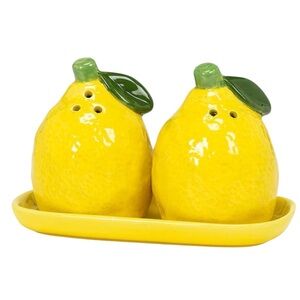 Vibrant Lemon Salt and Pepper Set